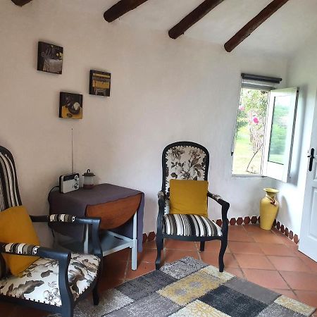 Le Clos D'Almide Monestier  Екстериор снимка