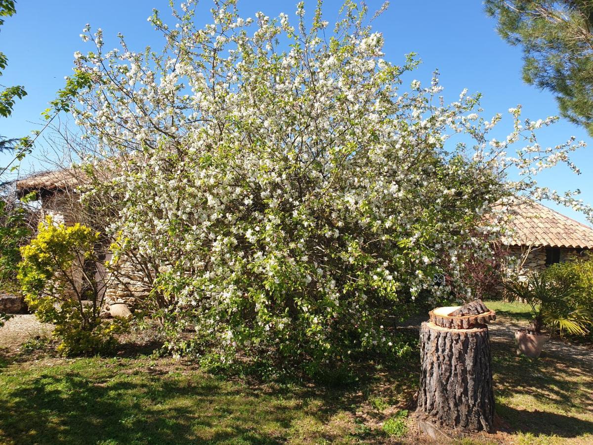 Le Clos D'Almide Monestier  Екстериор снимка