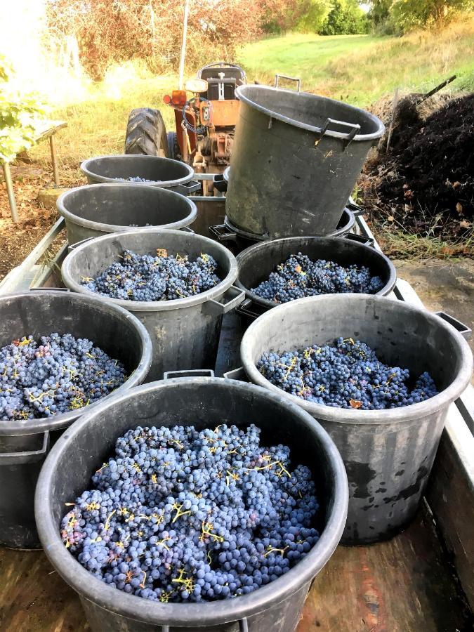 Le Clos D'Almide Monestier  Екстериор снимка