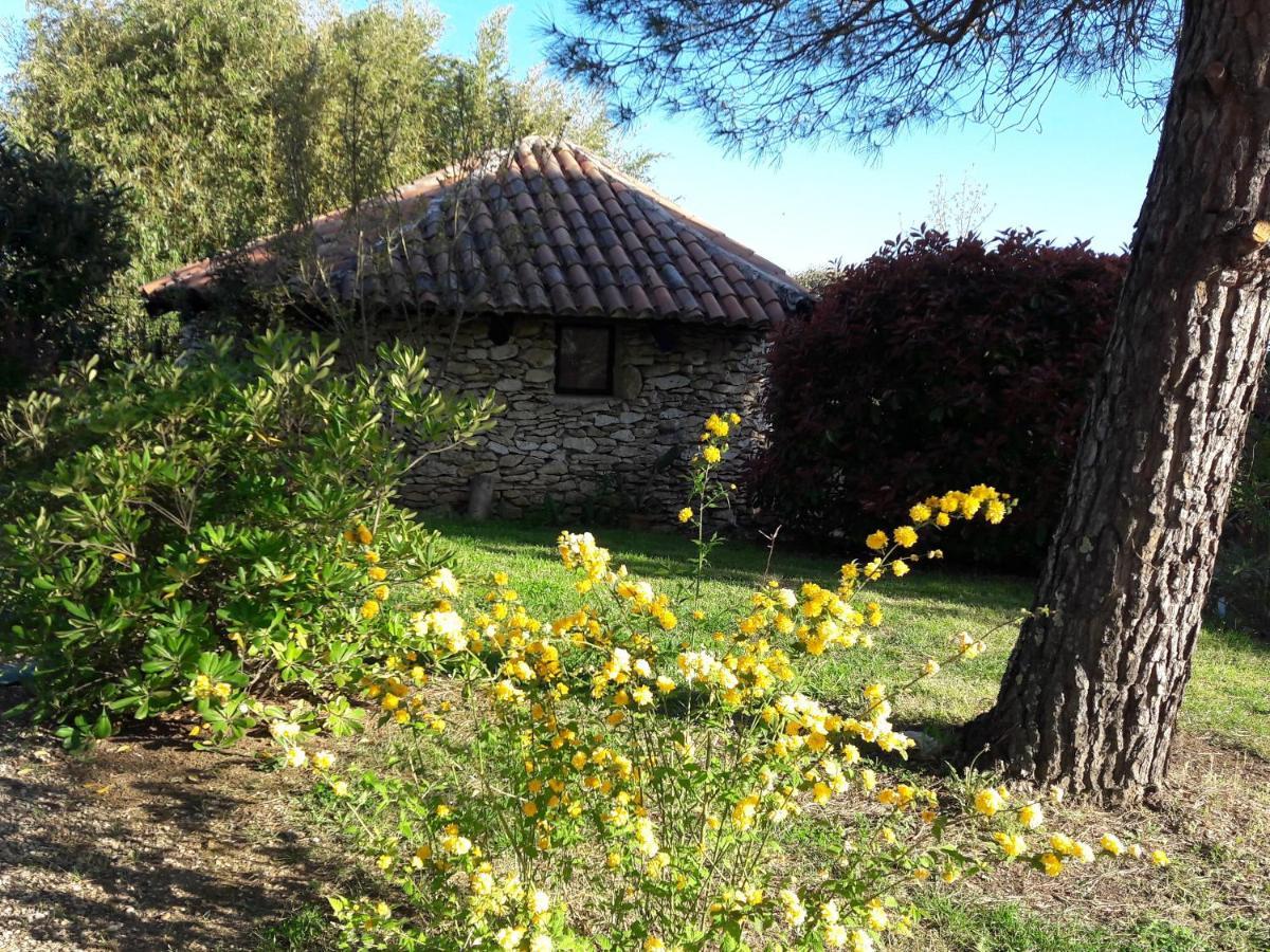 Le Clos D'Almide Monestier  Екстериор снимка